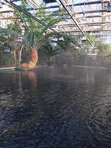overzicht plantentuin