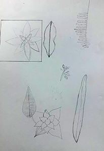 schets 2