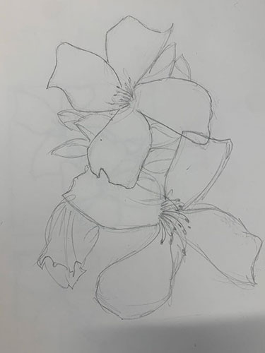 afbeelding schets bloem